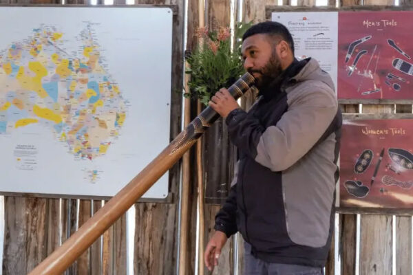 Blue Mountains Deluxe Day Tour - Image 7