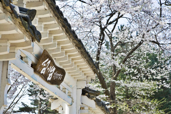 Discover Gangwon 4days - Image 5