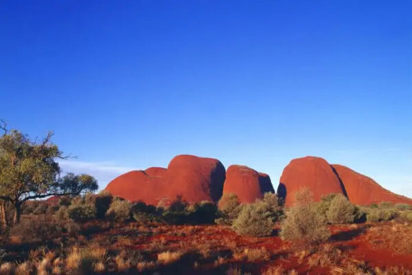 Ayers Rock from Uluru 4 Days Tour - Image 5