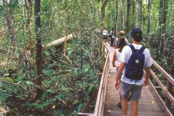 Cairns Package Tours - Image 5