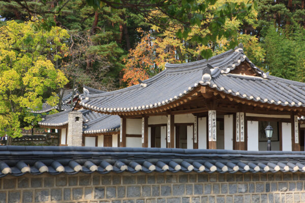Discover Gangwon 4days - Image 10