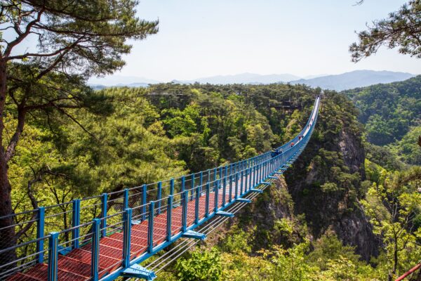 Discover Gangwon 4days - Image 9