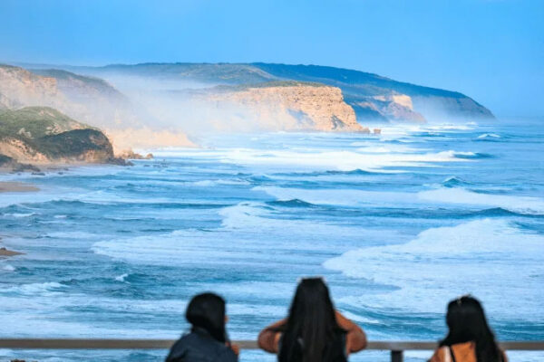 Great Ocean Road & 12 Apostles Day Tour - Image 7