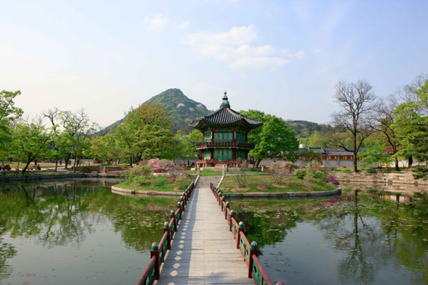 Palace and Traditional Market - Image 3