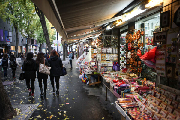 Palace and Traditional Market - Image 4