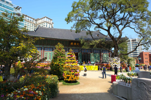 Palace and Traditional Market - Image 5