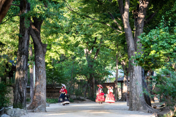 Palace & Korean Folk Village - Image 5