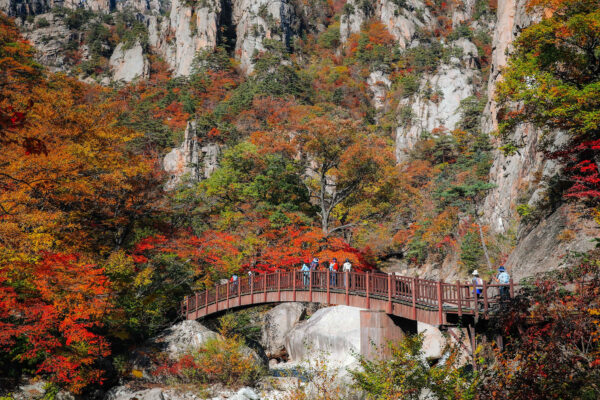 Essence of Korea - Image 3