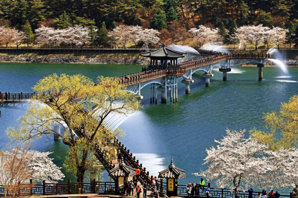 Essence of Korea - Image 5