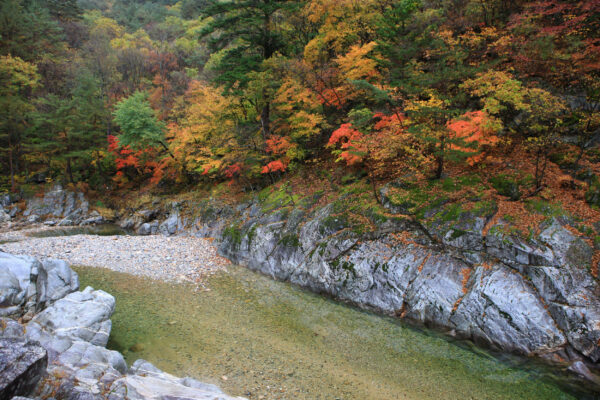 K Shuttle Circuit + Taiwan Mult Tour 8Days - Image 6