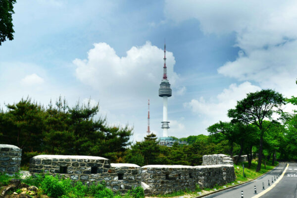 Palace & N TOWER - Image 5