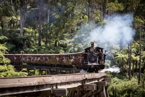 Puffing Billy Steam Train & Healesville Wildlife Day Tour