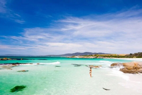 Tasmania 5 Days Tour - Image 5