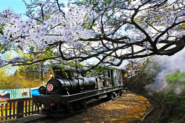 Wonder of Taiwan 6Days