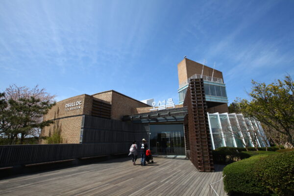Discover Jeju 3days - Image 7