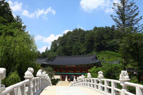 Discover Gangwon 4days - Image 7