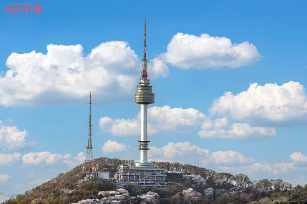 Seoul to Snow Escape (Korea Highlights + Ski Adventure) - Image 5